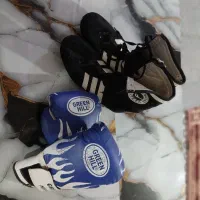 کفش و دستکش بوکس