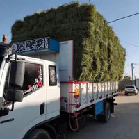 یونجه خالص چین سوم بدون رطوبت و علف|لوازم جانبی حیوانات|اصفهان, آبشار|دیوار