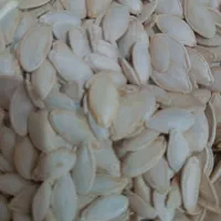 تخمه ارگانیک|خوردنی و آشامیدنی|دهگلان, |دیوار