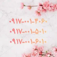 ۰۹۱۷-۰۰۱-۴۰۶۰