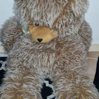 خرس|اسباب‌‌بازی|بندر انزلی, ساحل قو|دیوار