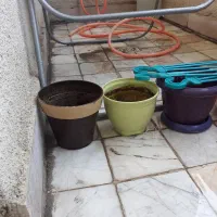 گلدان پلاستیکی