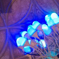 لامپ ریسه ای مناسب برای باغ و عروسی