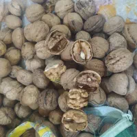 گردو|خوردنی و آشامیدنی|نالوس, |دیوار