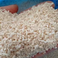 برنج نیم دونه هاشمی ۲۰کیلو۳تومن امروز