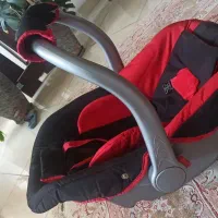 یک عدد کریر نوزاد