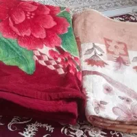 پتو