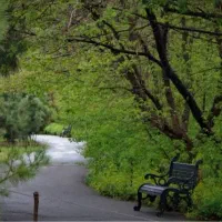 تور یکروزه