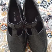 کفش|کیف، کفش، کمربند|سنندج, |دیوار