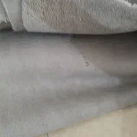 موکت پالاز موکت