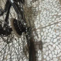 دوچرخه ۲۶ ویوا