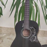 گیتار matapoor|گیتار، بیس، امپلیفایر|زبرخان, |دیوار