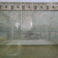 قیمت 800|ماهی|زرند, |دیوار