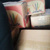 نوشمک ساندیس