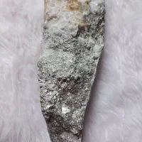 پیریت کلکسیونی|کلکسیون اشیاء عتیقه|پرند, فاز ۱|دیوار