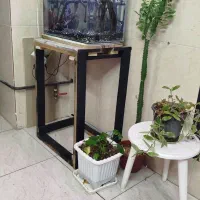 آکواریوم با پایه فروشی یا معاوضه|ماهی|اسلامآباد غرب, |دیوار