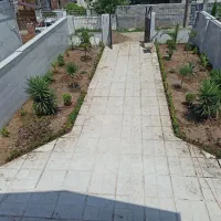 باغبانی هرس سمپاشی محوطه سازی|خدمات باغبانی و درختکاری|رشت, حومه رشت|دیوار