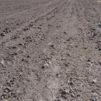 زمین کشاورزی