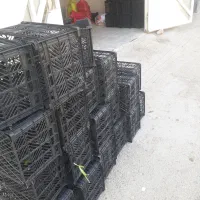 سبد پلاستیکی گوجه و میوه
