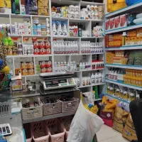 استخدام نیروی کار در داروخانه دامپزشکی|استخدام خدمات فروشگاه و رستوران|آستانه اشرفیه, |دیوار