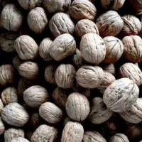 گردو درجه یک فروشی