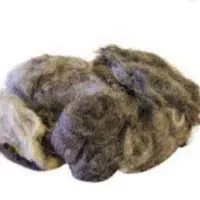 پشم گوسفند شسته شده بهاره