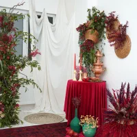 ثبت  عکس یلدایی