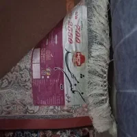 فرش ۹متری|فرش|همدان, |دیوار