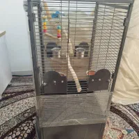 قفس بزرگ طوطی