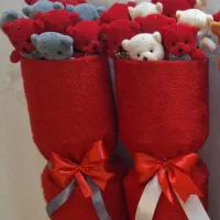 بوکت های خرسی