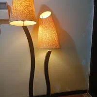 آباژور زیبا