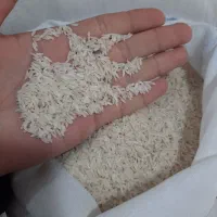 برنج پرمحصول فجر فقط ۲۳۰ تومن