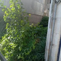 خانه ویلایی
