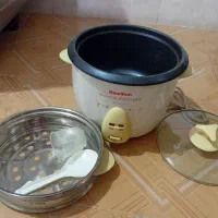 پلوپز،هواپز،بخارپز