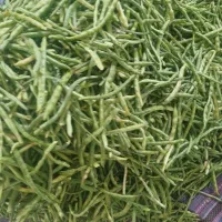 لوبیا چشم بلبلی|خوردنی و آشامیدنی|اهواز, اسلام آباد شرقی|دیوار