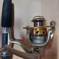 لنسر  ماهیگیری