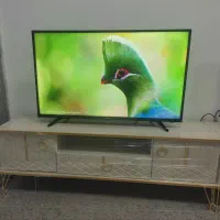 تلویزیون ۴۰ اینج هایسنس