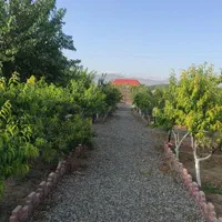 اجاره روزانه/هفتگی/ماهانه ویلا ۱۰۰۰ متری