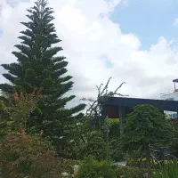 نظافتچی خانم میخوام