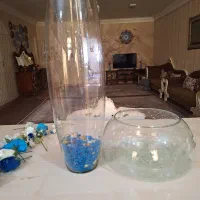 تنگ ماهی با شیشه شفاف