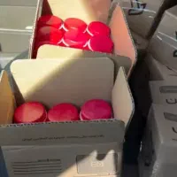 کرم معجزه کاملا تضمینی