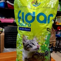 غذای ایرانی گربه