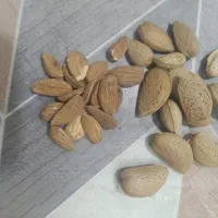 بادام  گردو  کشمش سبز  تخمه کدو  آفتابگردان