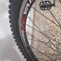 دوچرخه ویوا اصلی|دوچرخه، اسکیت، اسکوتر|شیراز, میانرود|دیوار