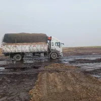 قابل توجه دامداران کاه نرم
