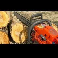 خریدار انواع چوب