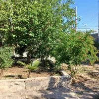 اجاره ویلا روزانه