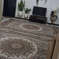 اپارتمان اجاره ای خوش نقشه|اجارهٔ آپارتمان|تهران, مسعودیه|دیوار