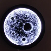 تابلو لیپان و بیس ماه و تابلودریاوخطاطی و...|تابلو، نقاشی، عکس|اصفهان, شهرک کاوه|دیوار