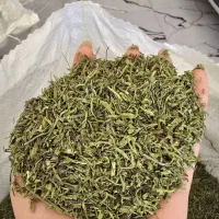 پخش عمده انواع سبزیجات خشک شوید نعنا گشنیز